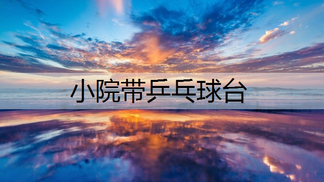 小院带乒乓球台